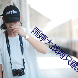 雨婷大战两只藏獒