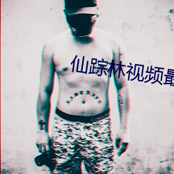 仙踪林视频最新入口