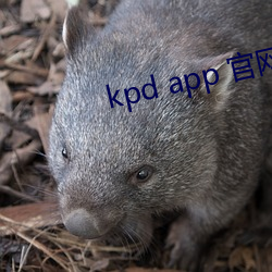 kpd app 官网下载