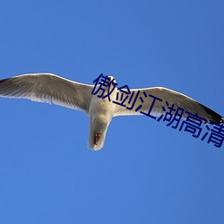 傲劍江湖高清