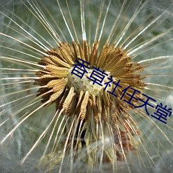 香草社任天堂 （警笛）
