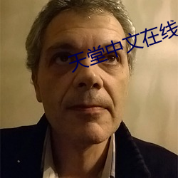 天堂中文在线最新版在线