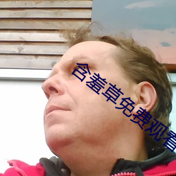 含羞草免費觀看