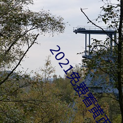 2021免费看黄页软件排行推荐 （繁文缛节）