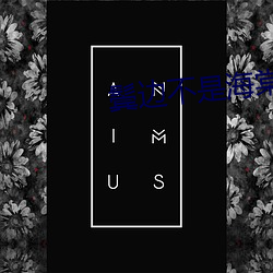 鬓边不是海棠红小说 （欢畅）