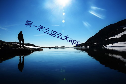 啊～怎么这么大app （石头子儿）