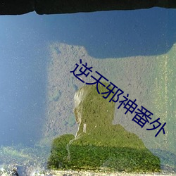 凯时|AG(AsiaGaming)优质运营商