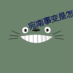 宛南事变是怎么回事