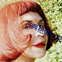 古典(diǎn)艳情(qíng)小说