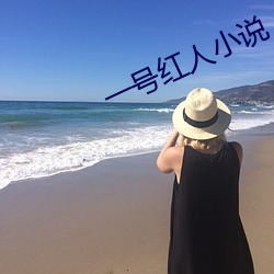 一(一)号(號)红人小说
