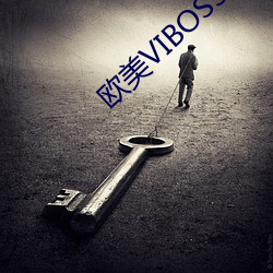 欧美(美)VIBOSS