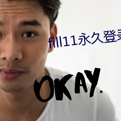fill11永久登录窗口