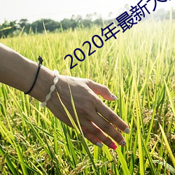 2020年最新大秀平台