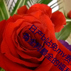 日产b站免mv费在线(線)观看(看)app视频版 v2.0:拥有全(全)网最全(全)的福(福)利