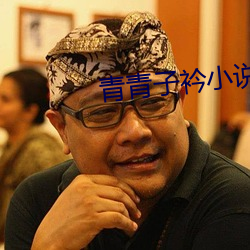 青青子衿小说
