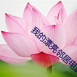 我的漂亮邻居电影 （销纳）