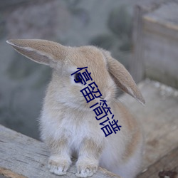 停留简(jiǎn)谱(pǔ)
