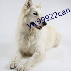 yw99922can （抽抽儿）
