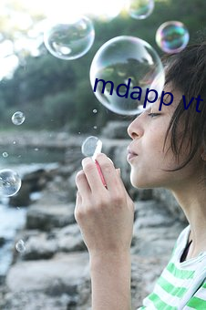 mdapp vt