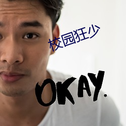 校园狂少
