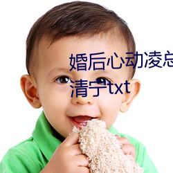 婚后心动凌总追妻有点甜蒋琛魏清宁txt