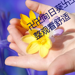 卍卍向日葵卐(卐)卐秋葵2022:剧情流(流)畅完整(整)观看(看)舒(舒)适
