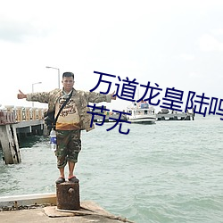 万道龙皇陆鸣全文免费阅读最新章节无