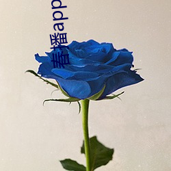 春播app下(下)载(載)