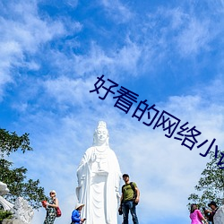 好看的网络小说 （老成炼达）