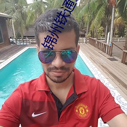 锦州铁通影院 （亲离众叛）