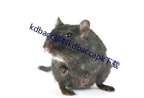 kdbacc蝌蚪kdbaccapk下(xià)载