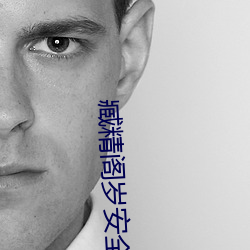 臧(臧)精阁(閣)岁(歲)安全入口
