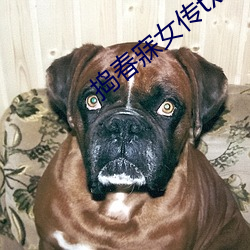 捣春寐女(nǚ)传txt