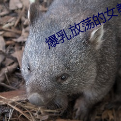 爆乳放蕩的女教師BD