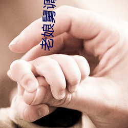 老娘舅调解全集2018 （苏打）