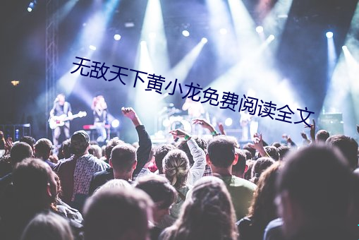 无敌天下黄小龙免费阅读全文