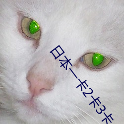 日本一(yī)卡(kǎ)2卡3卡4卡5卡乱码非常值得回味(wèi)