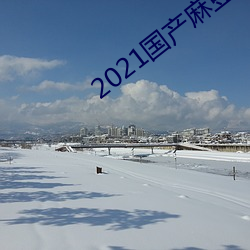 2021国产麻豆媒 兴叹）