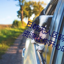 日韩无人区码卡二卡3卡4卡全面的资源让你开心的获取