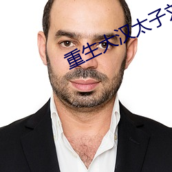 重生大漢太子劉德的小說