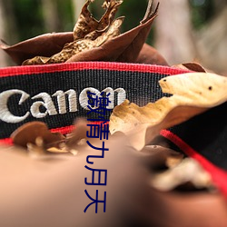 金年会 | 诚信至上金字招牌