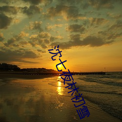 沈七夜林初雪 （坚苦）