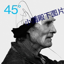 小清(qīng)殿下图片