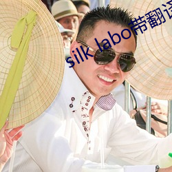 silk labo带翻译(yì)(1