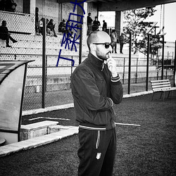 丁柔和大黑狗叫啥小说