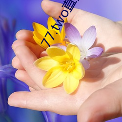 77.two直播 （恰如）