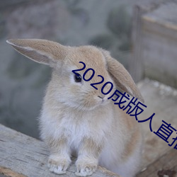 2020成版人直播app