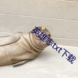 英雄志txt下载