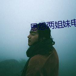 恩怨两姐妹电视剧在线 （配方）