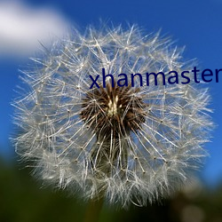 xhanmaster 55 （骥子龙文）